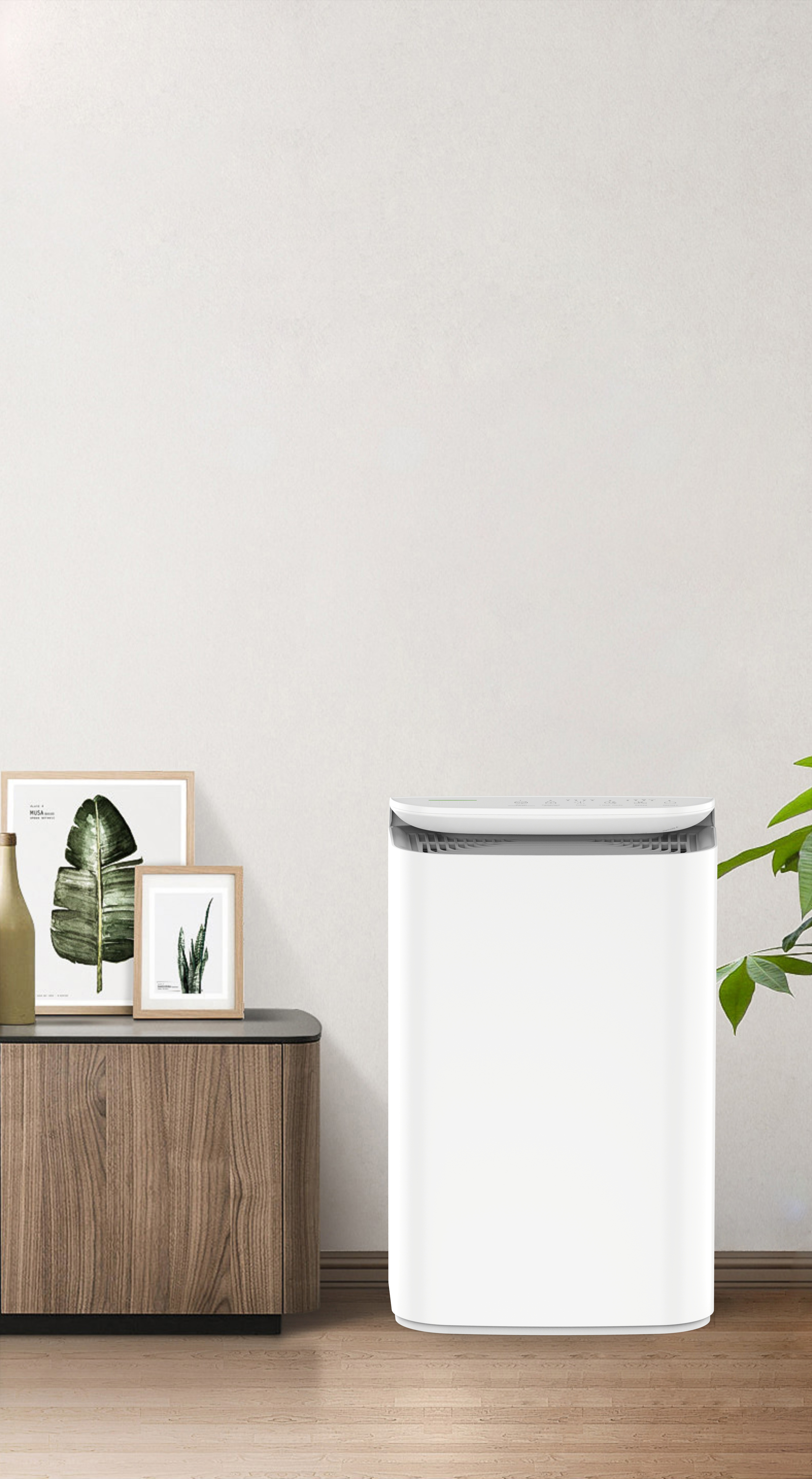 Upgrade Anion technology nova spiritum silva bkj 16b