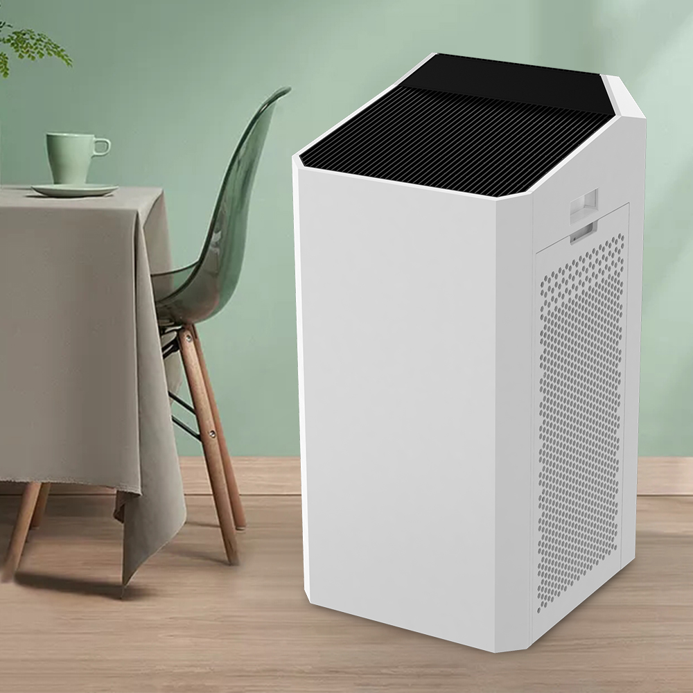 Egesne Air Purificans? 7 Signa facis, Beneficia Salutem, et Apicibus Emens